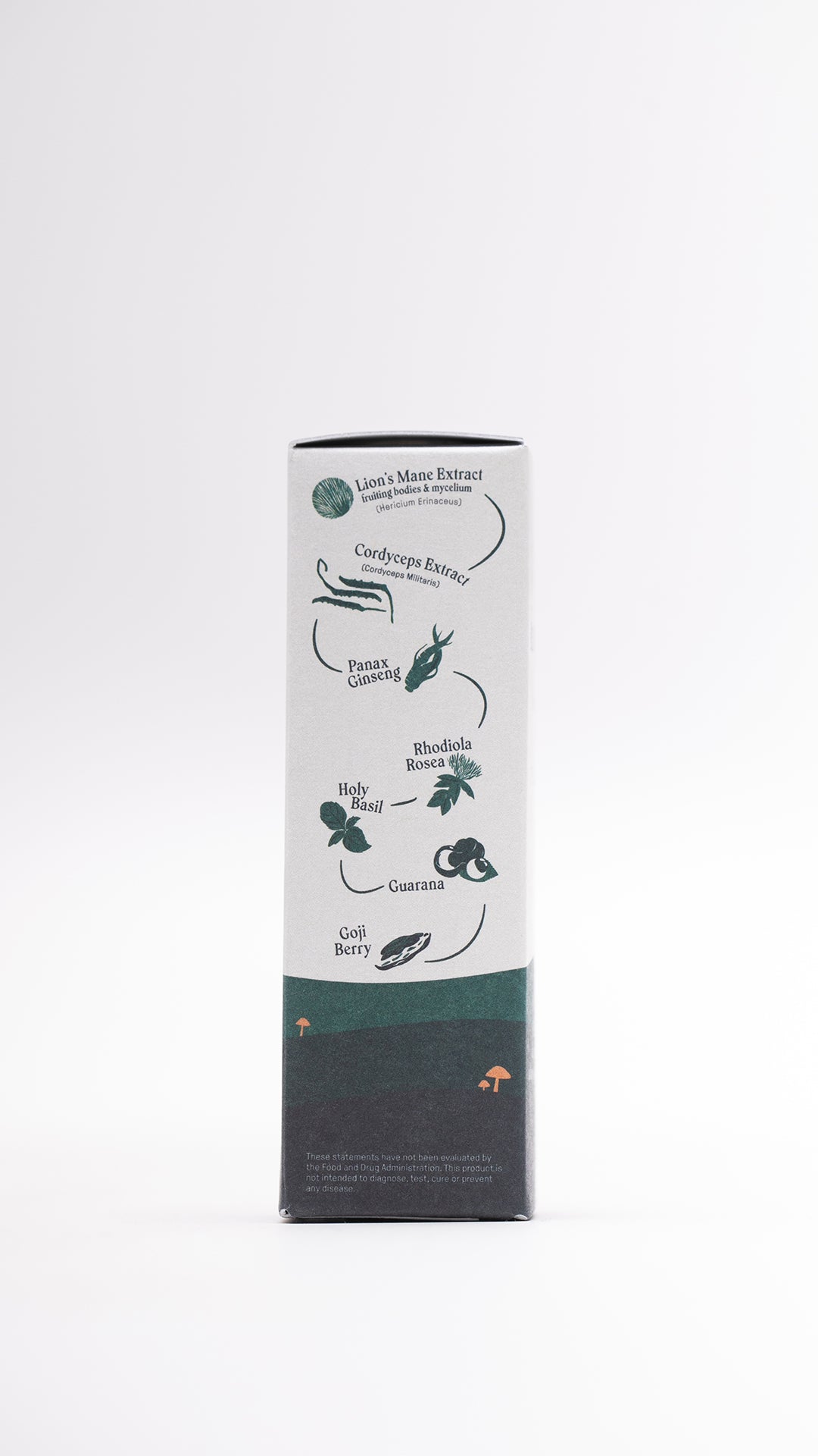 FUNGTION MUSHROOM ELIXIR DROPS