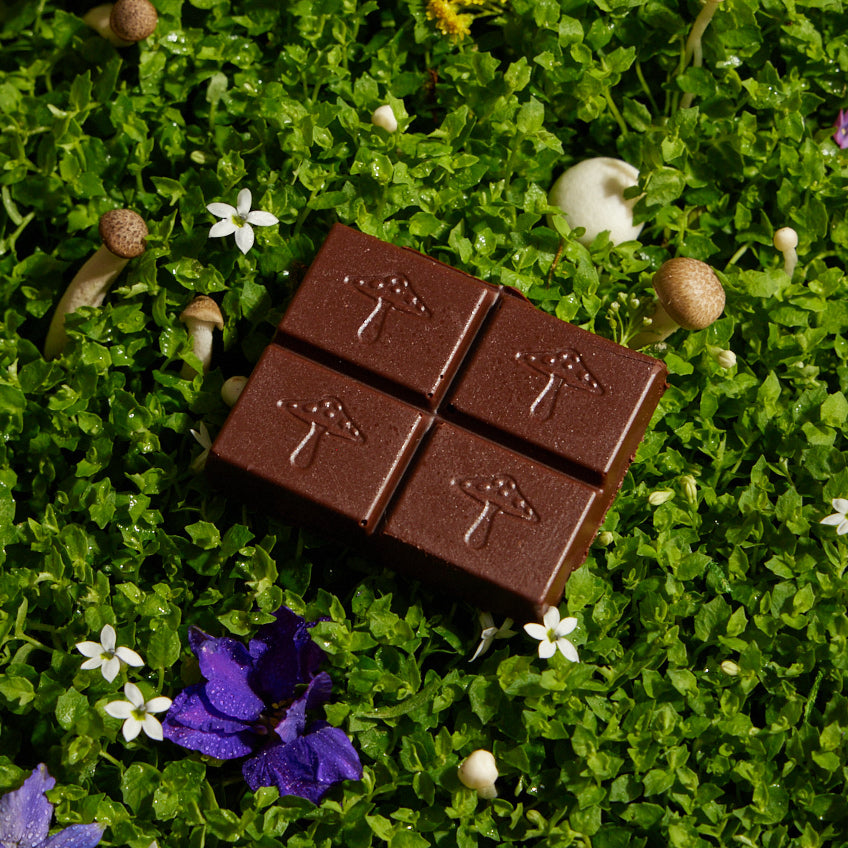 
                  
                    ALICE MUSHROOM CHOCOLATES BRAINSTORM
                  
                